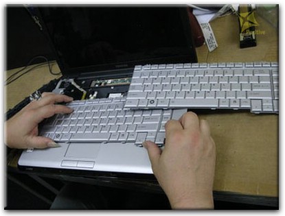 Ремонт клавиатуры на ноутбуке Toshiba в Екатеринбурге